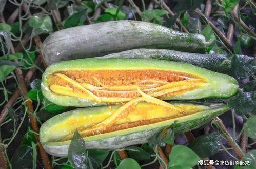 网红周立珊吃瓜,揭秘娱乐圈幕后真相